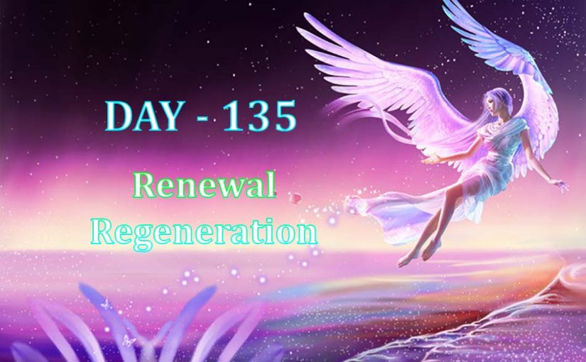 Day 135 – Renewal, Regeneration