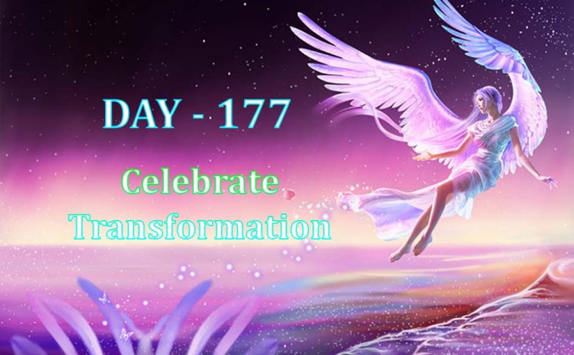 Day 177 – Celebrate Transformation