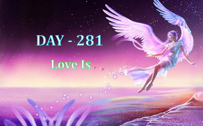 Day 281 – Love Is