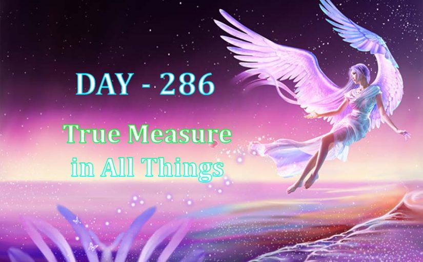 Day 286 – True Measure in All Things