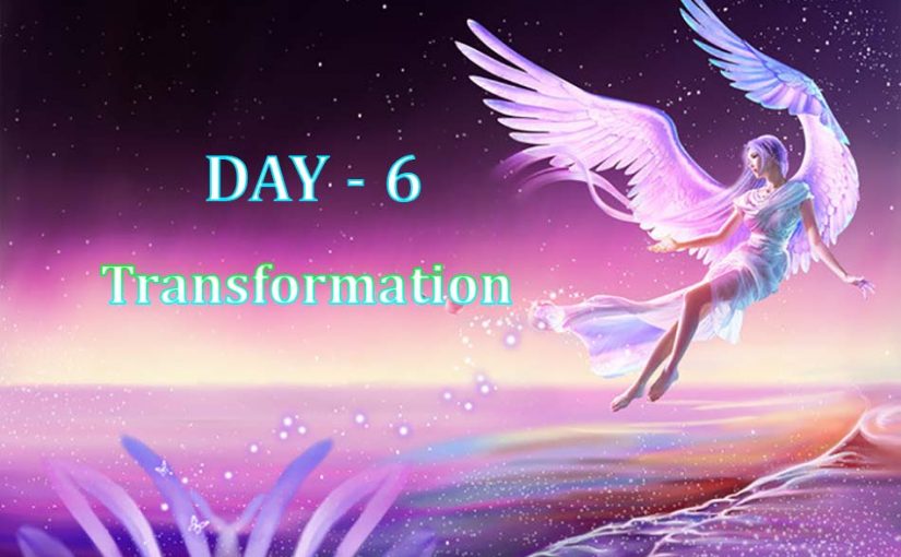 Day 6 – Transformation